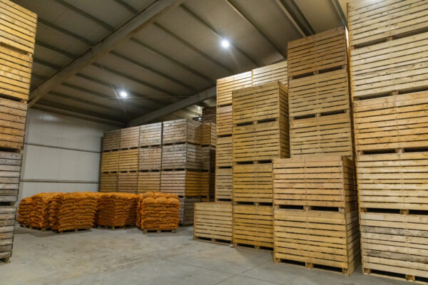 Stacks of wooden pallets in a warehouse, assets tracked with RFID technology. 